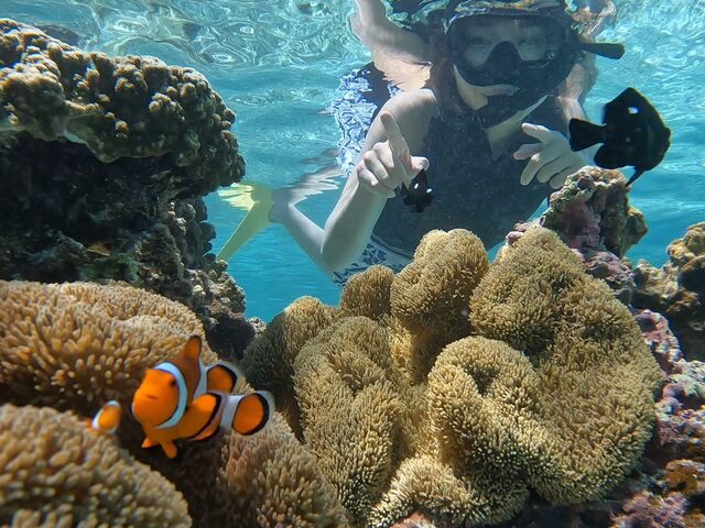 Nami�{�Ó��̂��Z����A�B�e�w���ƎB�e�A���O�����܂����I_Nami�{�Ó�