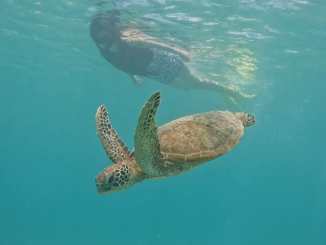 Nami�{�Ó��̂��Z���񂪐[���܂Ő����āA�ꐶ�����B�e���Ă����������p�ɂ�����( �߄Dߡ)_Nami�{�Ó�