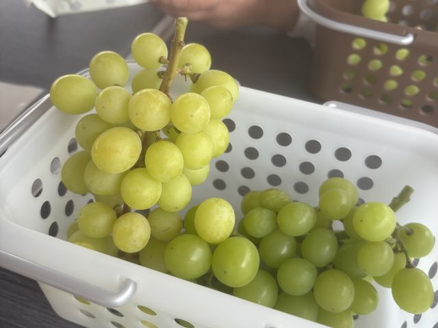 ��藧�Ă̔��������}�X�J�b�g�ł��I�I_�A�O���[���p�[�N �F�s�{�Ԃǂ��̓m