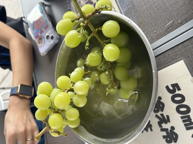 �X���V���C���}�X�J�b�g�I�I�I_�A�O���[���p�[�N �F�s�{�Ԃǂ��̓m