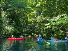 ݂񂳂̋{ÃAEghAZ^[ւ̓eʐ^1