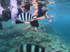 ڂ񂾂̃}T[rXނʁ[ւ̓eʐ^1