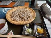 Xg[ûxݏzuisin̓eʐ^1