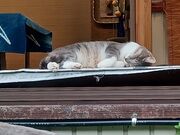 Xg[ûxݏzuisin̓eʐ^2