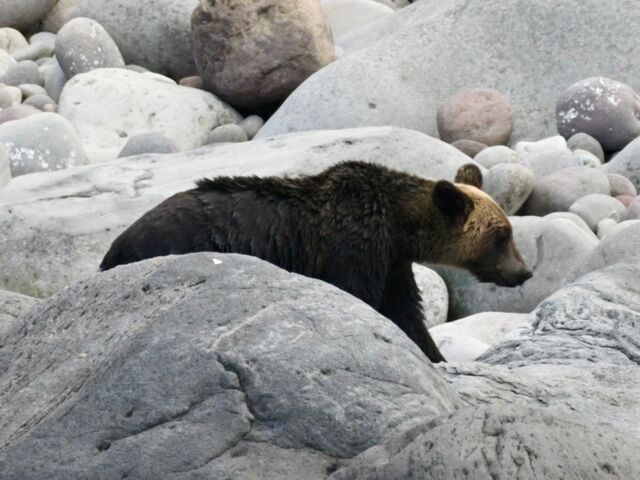 ΂̊ԂŐHוTĂ܂_SWό@JCbJN[U[mEgN[Y