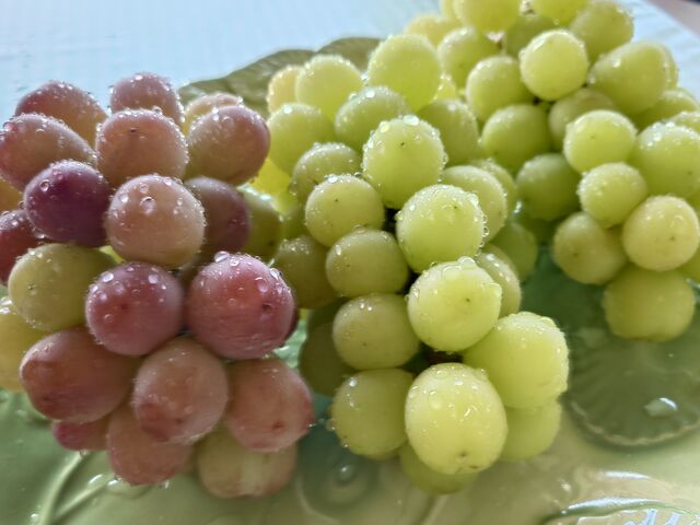 Hו́u䂪vƁuVC}XJbgv_Mό