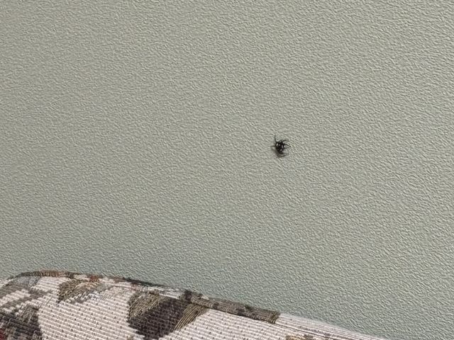 �w偁c_���ꂵ�̌���@�S�N�̓�