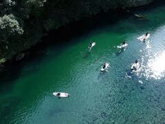 ̂ނ̐mAEghAZ^[ւ̓eʐ^1