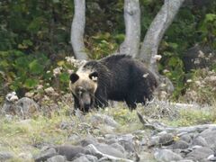 SWό@JCbJN[U[mEgN[Y̎ʐ^1