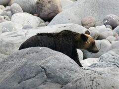 SWό@JCbJN[U[mEgN[Y̎ʐ^2