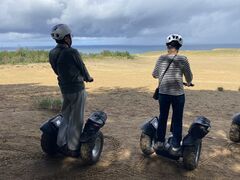 �����Ƃނ���̒��捻�u�Z�O�E�F�C���V�K�C�h�c�A�[�ւ̓��e�ʐ^1