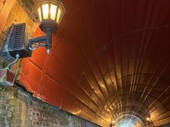 �����݂�������̕��ߐԂ�񂪃p�[�N�ւ̓��e�ʐ^1