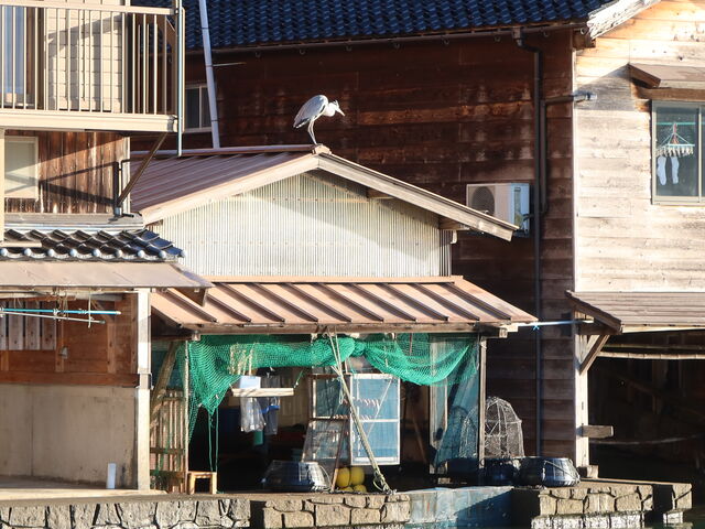 �M���̎��_���ȁH_�ɍ��̏M��