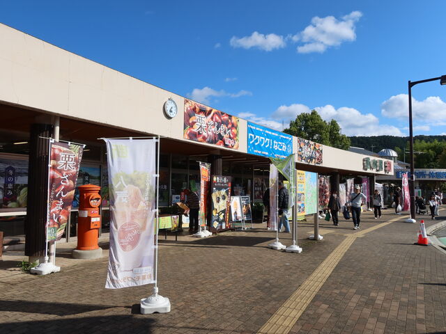 �������͖��Ȃ����c_���̉w �a