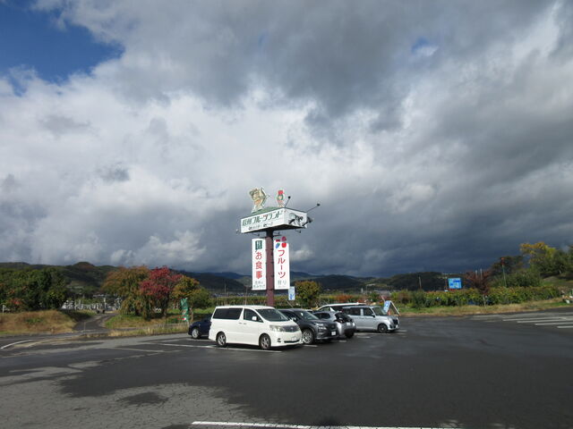 �u�M�B�t���[�c�����h�M�B����C���^�[�X�v���ԏ�E�Ŕi2025�N11���������B�e�j_�M�B�t���[�c�����h�M�B����C���^�[�X