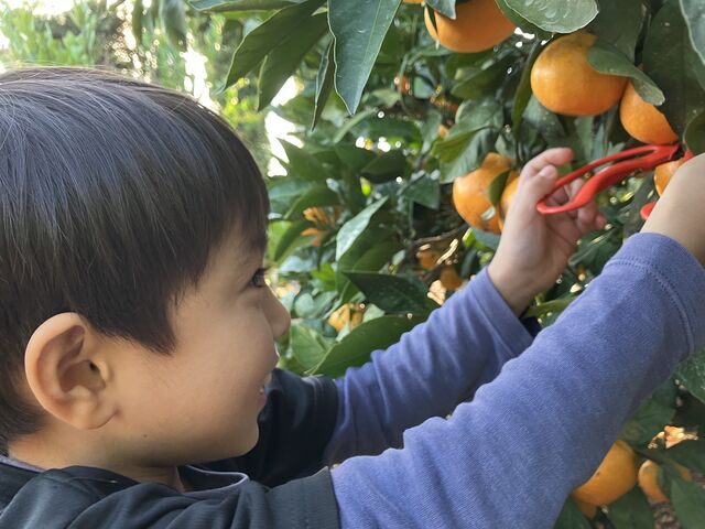 ���ꂪ����������_�݂�����@�Ƃ��牀