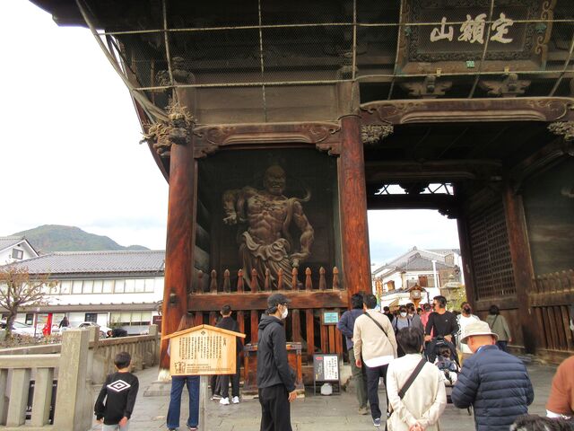 ������񂳂�̑P�����̓��e�ʐ^5