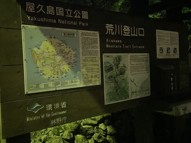 �܂����Â���5�����̍r��o�R��_Yamakara���v��