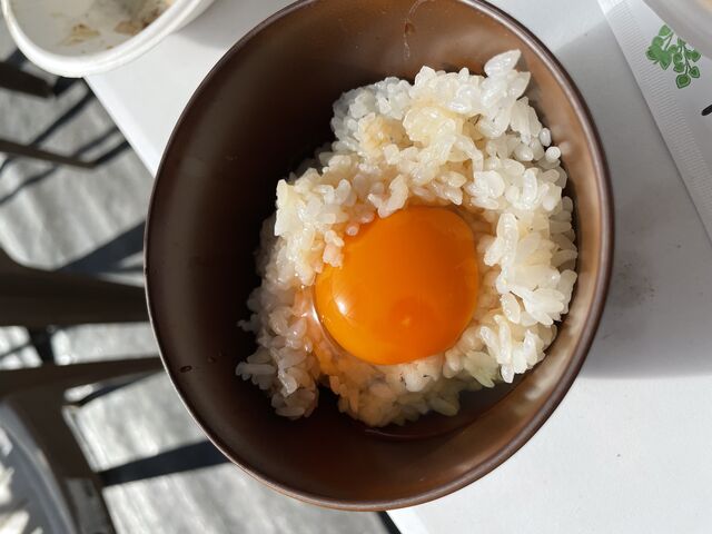 500~ǉėсB_A}YK[fcBBQ