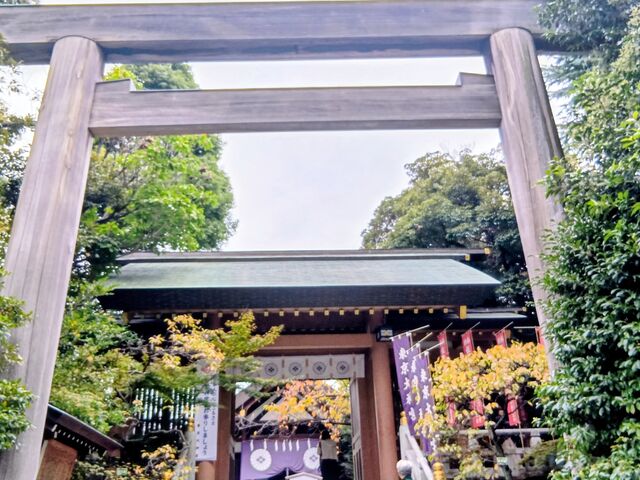 ������_�{_������_�{