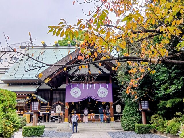 �����g�t_������_�{