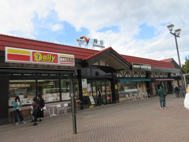 쎩ԓuT[rXGAEvi2025N11Bej_T-rXGA@