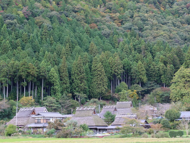 ����Ԃ������������_���R����Ԃ��̗�