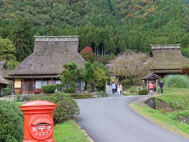 �m�X�^���W�b�N_���R����Ԃ��̗�