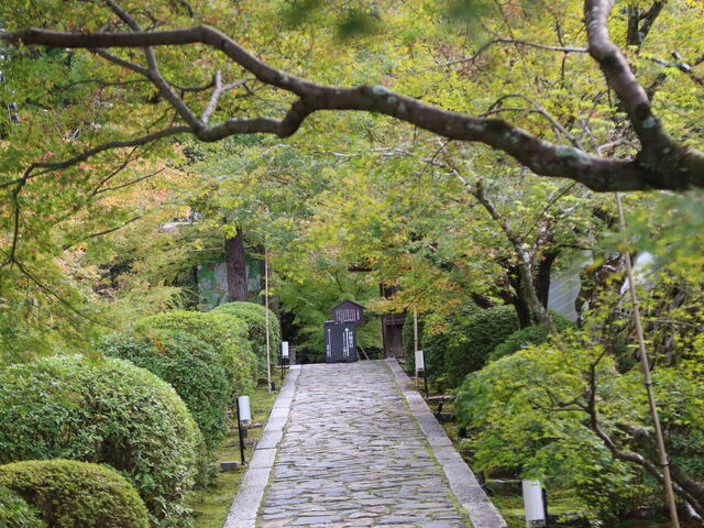 ���̂��낪�f�G_�V�����i��x���j