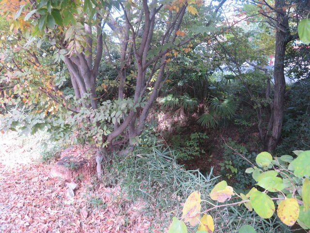 �ʐ�㐅_�ʐ�㐅