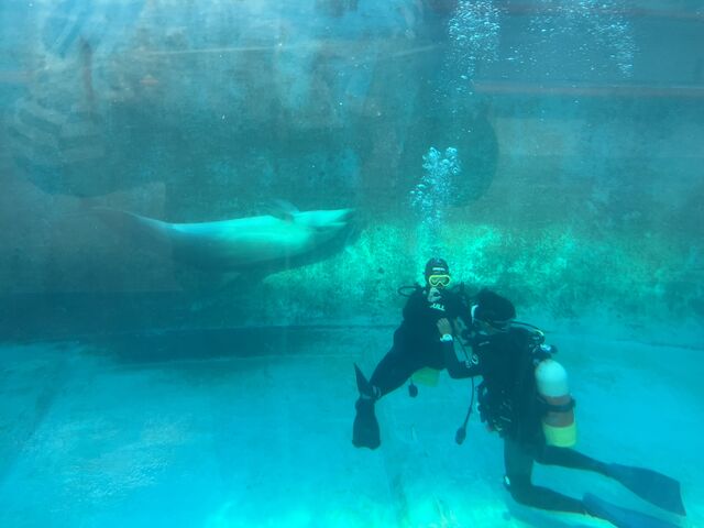 ���x����ڋ߁�_�h���t�B���r�[�`