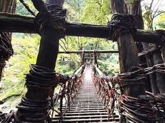 �Ðh�F����̑c�J�̂����狴�ւ̓��e�ʐ^1