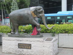 �L������̂i�q�g�ˎ��w�ւ̓��e�ʐ^1