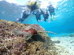 �߂��݂���̋{�Ó��}�����V���b�vSmiley�ւ̓��e�ʐ^1