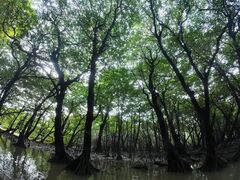 ̐Ί_ ADVENTURE PiPiւ̓eʐ^1