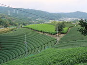 yosshỷF̋@a̒̓eʐ^3