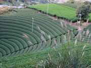 yosshỷF̋@a̒̓eʐ^4