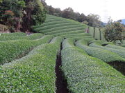 yosshỷF̋@a̒̓eʐ^5