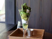 yosshy̒җqE{X̓eʐ^4