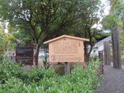 ������񂳂�̑P�����̓��e�ʐ^4