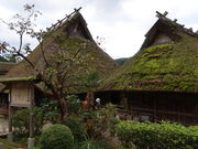 yosshy����̔��R����Ԃ��̗��̓��e�ʐ^4