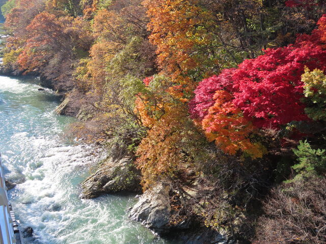 �đ��㕔�̍g�t�ł�_��������