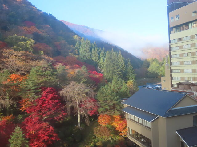 �z�e�����ӂ̍g�t�A���ɒ��ɂ�
�|�����Ă��܂�_��������