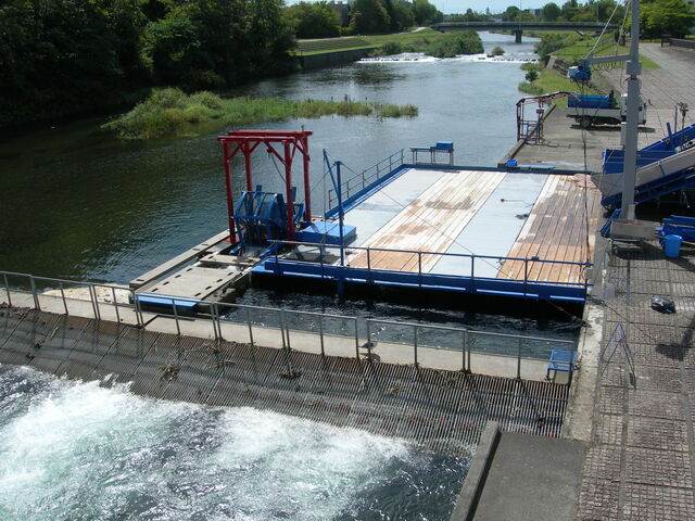 �T�P�̂ӂ邳�Ɛ�ΐ�����