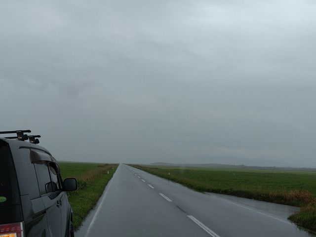 �G�M���K�[�P�Q������̃G�T�k�J���̓��e�ʐ^1