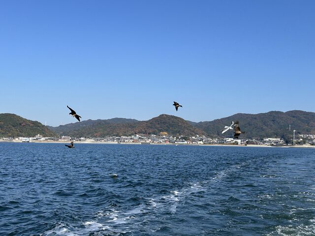 �E�~�l�R�̉a�t���y�����ł�_�O�͘p���]�[�g�����N�X