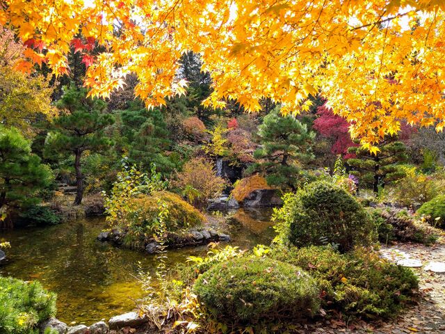 �X�m�[�o�j������̓V�_���̓��e�ʐ^2