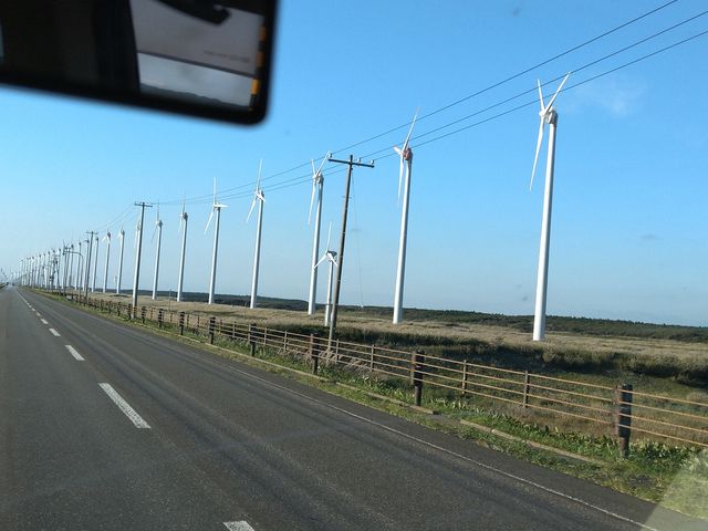 �I�g�����C���͔��d��