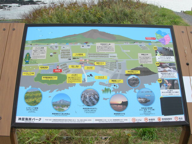 �G�M���K�[�P�Q������̐_���C�݃p�[�N�̓��e�ʐ^1