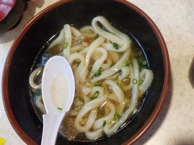 K2����̋��J�c�c�� ���c���X�̓��e�ʐ^11